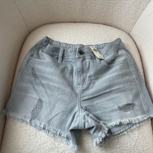 Gray Aerie Distressed shorts